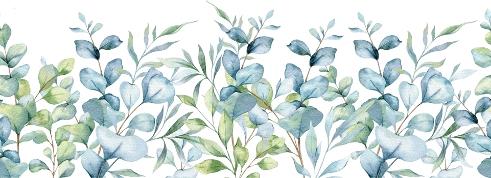 Seamless Eucalyptus Greenery. Botanical Seamless Horizontal Background. Eucalyptus Watercolor Illustration. Eucalyptus Branches Design. Greenery garland seamless. Eucalyptus Border Frame png