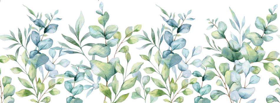 Eucalyptus Design with Greenery. Botanical Seamless Horizontal Background. Eucalyptus Watercolor Illustration. Eucalyptus Branches Design. Greenery garland seamless. Eucalyptus Border Frame png