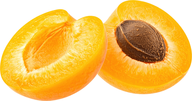 Two Halved Apricots Showing Pit and Flesh Detail png