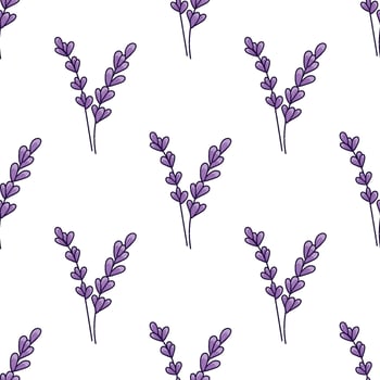Floral pattern with lavender or sage, Botanical ornament with medicinal herbs. Minimalistic hand-drawn design in doodle style vector
