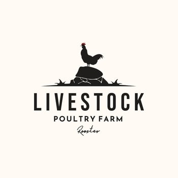 livestock rooster vintage logo minimalist illustration design, rooster fresh poultry farm logo design vector