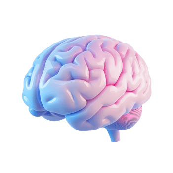 Stylized 3d brain with pink and blue gradient isolated on transparent background png