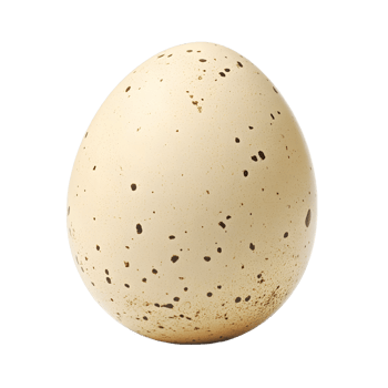 A single speckled bird egg with a light beige shell and dark brown spots isolated on transparent background png