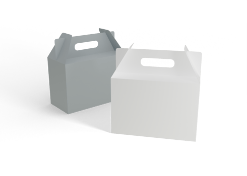 Takeout Food Box Branding png