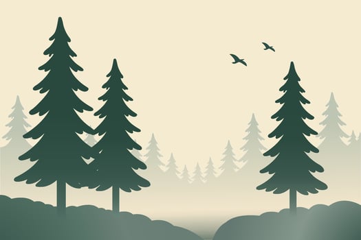 Serene Landscape with Evergreen Trees and Flying Birds at Dusk vector