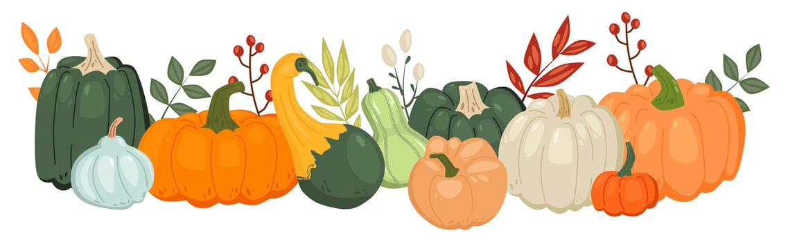 Variety of colorful pumpkins and gourds vector