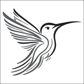 Elegant Hummingbird in Flight Abstract Gray Line Art on White vector