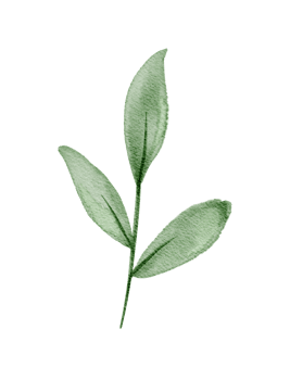 Simple Watercolor Leaf Clipart, Natural Botanical Art for Nature Decor png