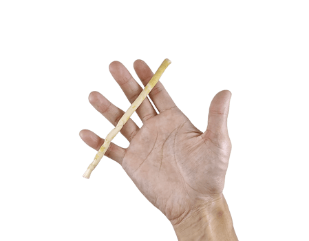 Close-up of a person using siwak, an organic toothbrush from Islamic tradition, ideal for dental care visuals png