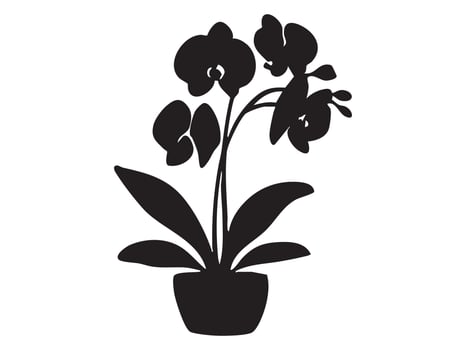 Black silhouette of potted orchid, isolated on white background, graphic illustration. concept of houseplant, floral decor, botany icon, gardening element, indoor greenery vector