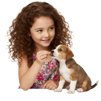 Woman with long hair holding small puppy dog png