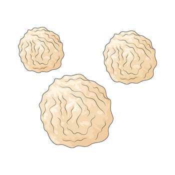 human white blood cell vector