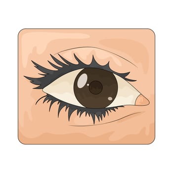 beautiful human eye vector