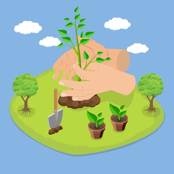 Hands planting a seedling in soil vector