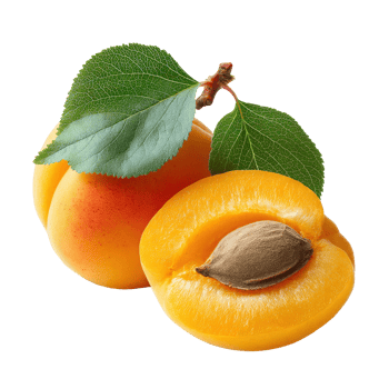 Fresh Apricots with Leaves One Cut to Reveal the Pit Isolated png