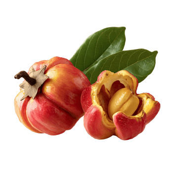Fresh Garcinia Cambogia Fruit with Leaves on a Black Background png