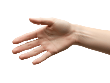 Realistic open human hand extended forward with palm visible png