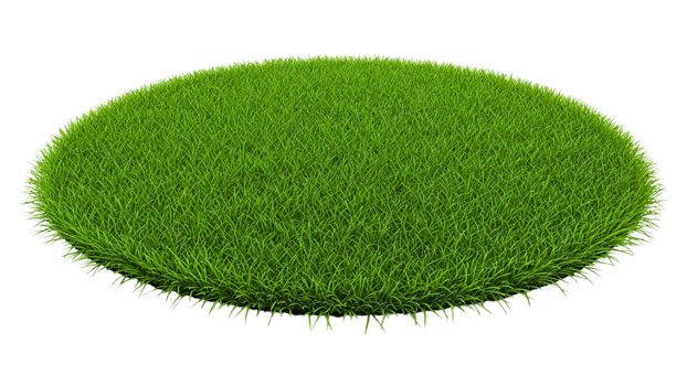 Round patch of green grass isolated png