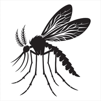 Black silhouette of a mosquito with detailed wings and legs on white insect black and white vector