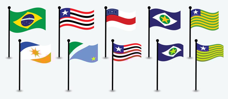 Collection of National and Regional Brazil Flags in a Flat Design. Brazil, Brazilian Flag. vector