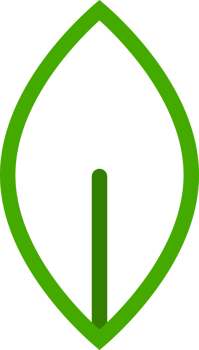Green line leaf tree png