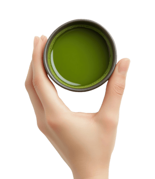 Female hand holding small ceramic cup of green matcha tea isolated on transparent background png