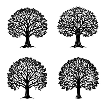 Detailed Black Mandala Set with Ornamental Geometric and Floral Elements vector