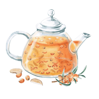 Teapot with sea buckthorn tea, sea buckthorn branch and ginger. Isolated watercolor illustration in realistic style for design of beverage packaging, teas, tea menu, culinary blogs. png