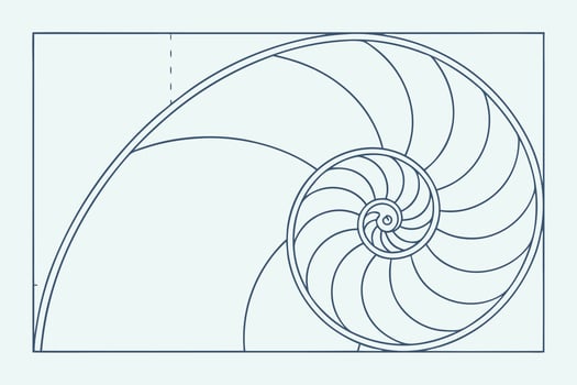 A drawing of a spiral shell vector