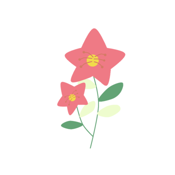 Pink Alamanda Flower png