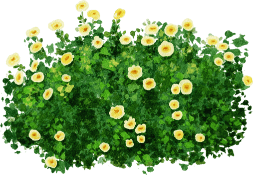 Watercolor Green Shrub with yellow Flowers png