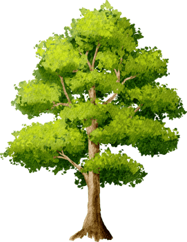 Tree garden Watercolor Illustration png