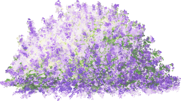 Watercolor Green Shrub with Purple Flowers png