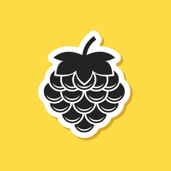 Raspberry pi sticker on yellow background vector