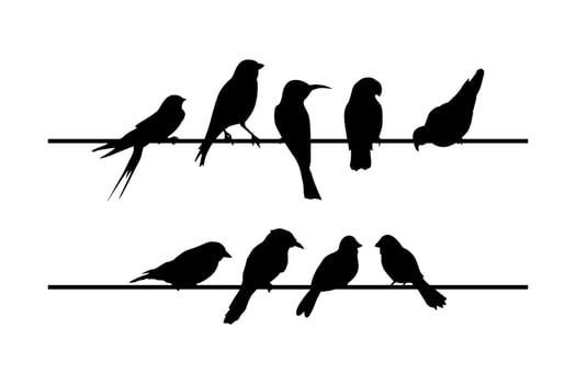 silhouettes of birds sitting on wire vector