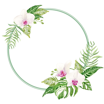 Watercolor frame of tropical leaves. Template with dipsis, white orchids, monstera foxtail. Greenery for exotic wedding decor. Save the date template. png