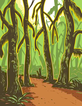 Hoh Rainforest in Olympic National Park Washington State USA WPA Ukiyo e vector