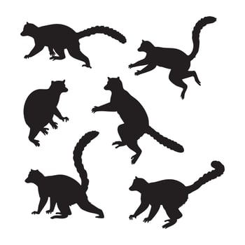 Collection of lemur silhouettes isolated on white background vector