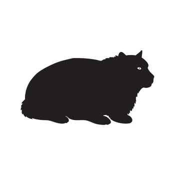 Wombat silhouette isolated on white background vector
