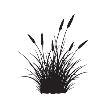 Silhouette of grass on a white background vector