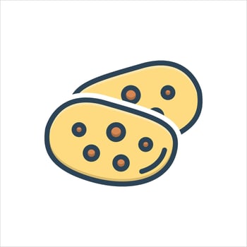 Color icon potato vector
