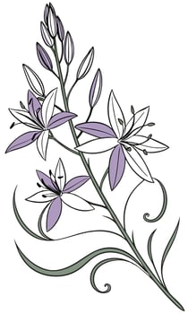 Close-up of the Camassia Flower arranged beautifully and decorated with vines vector