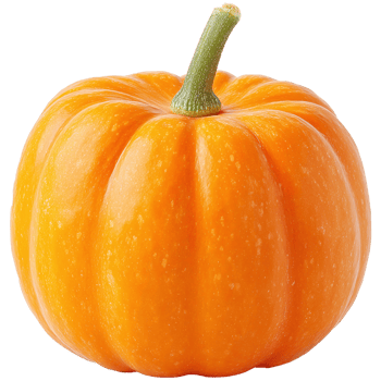 a pumpkin is shown on a transparent background png