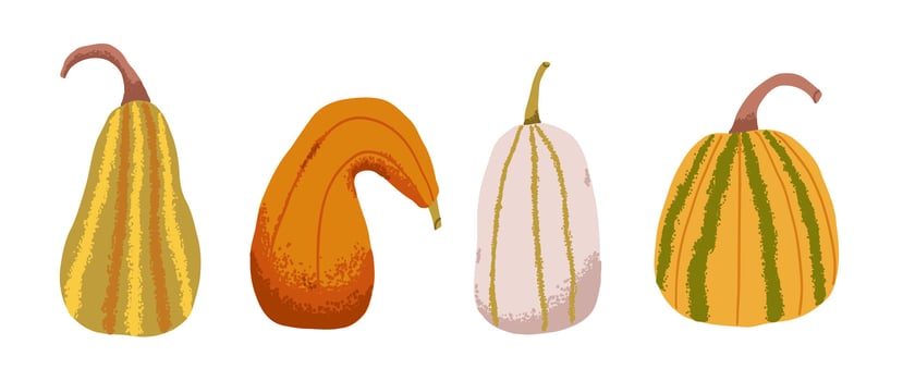 Fall autumn pumpkins for halloween or thanksgiving holiday. Flat minimal illustration with texture vector