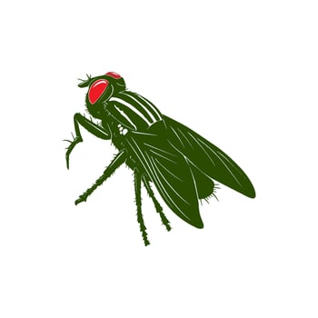 Fruit fly hand drawn Illustration vector