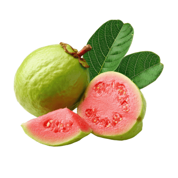 Fresh Guava Fruit with Leaves on Transparent Background png