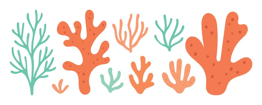 Colorful coral reef branches in orange and teal form a flat ocean plant set, ideal for sea life infographics, backgrounds, or childrens books vector