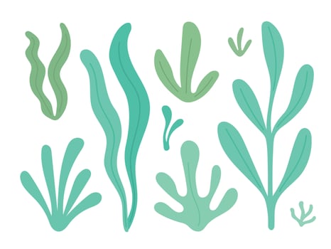 Seaweed collection with flowing green kelp and underwater leaves offers a clean ocean foliage design for marine themes or eco graphics vector