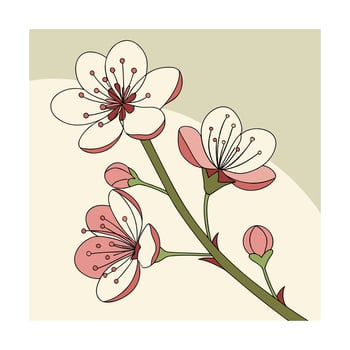 Delicate pink cherry blossom flowers on a green branch with buds vector