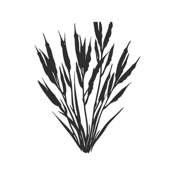 Grass Plant Silhouette Illustration. Nature And Growth Symbolism Isolated Illustration vector